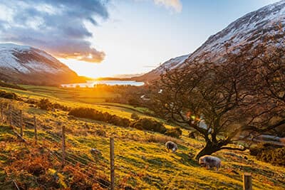 Farmlife, UK